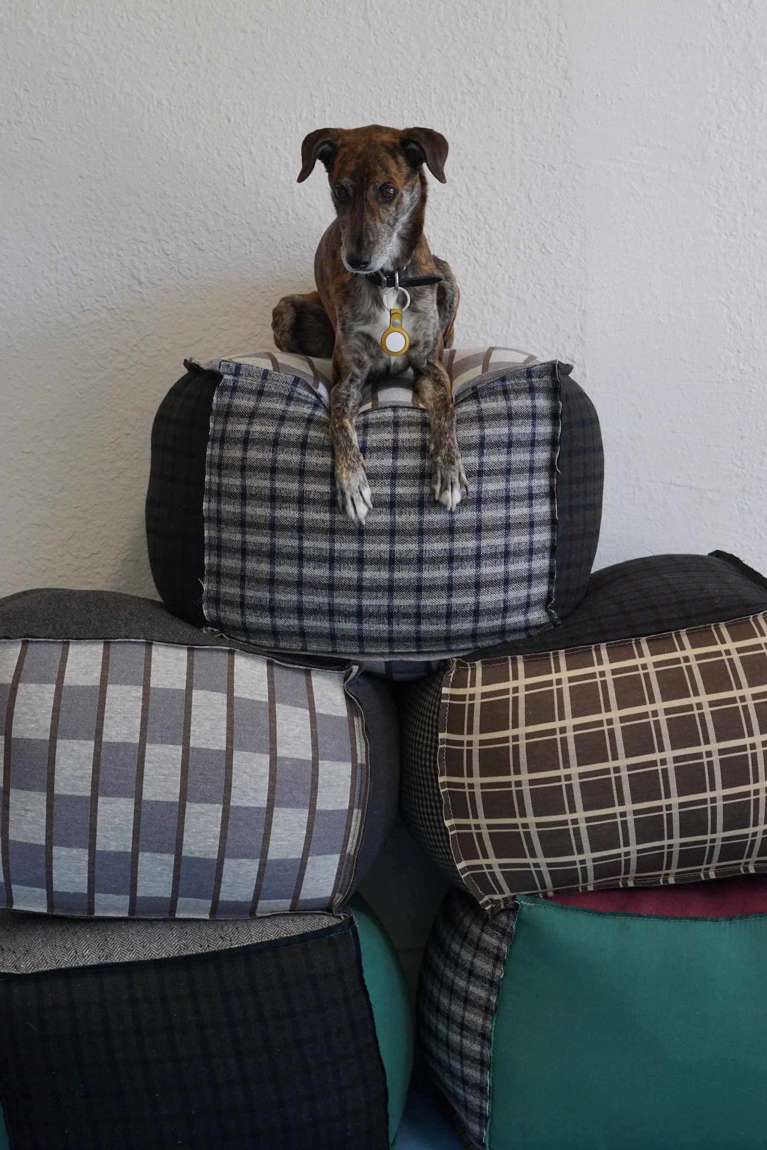 A small dog sitting on top of a stack of six patterned pillows or cushions, against a plain white wall.