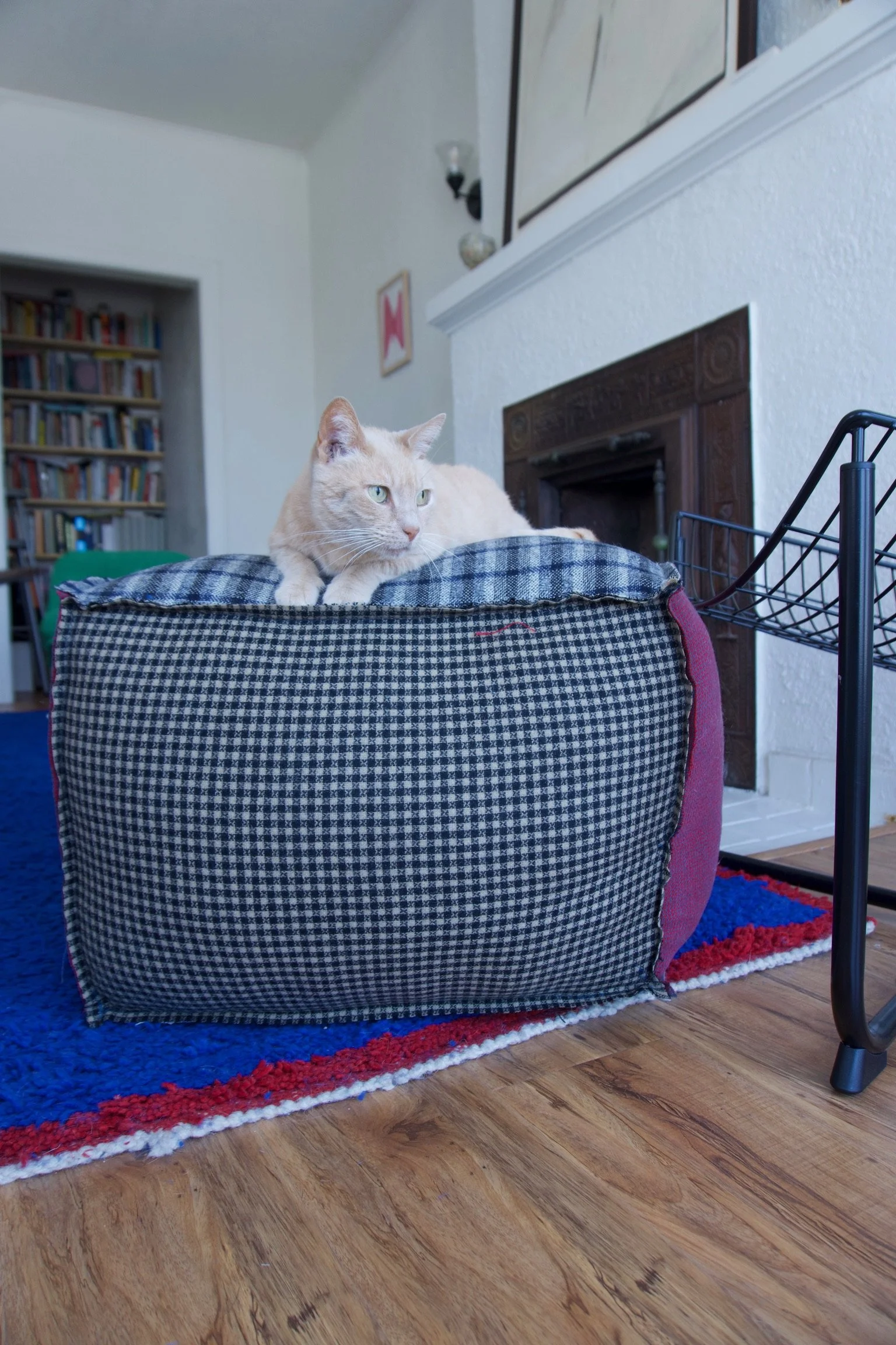 A light orange tabby cat lying on a checkered pet bed in a living room with a blue and red striped rug, wooden floor, bookshelf, and fireplace in the background.