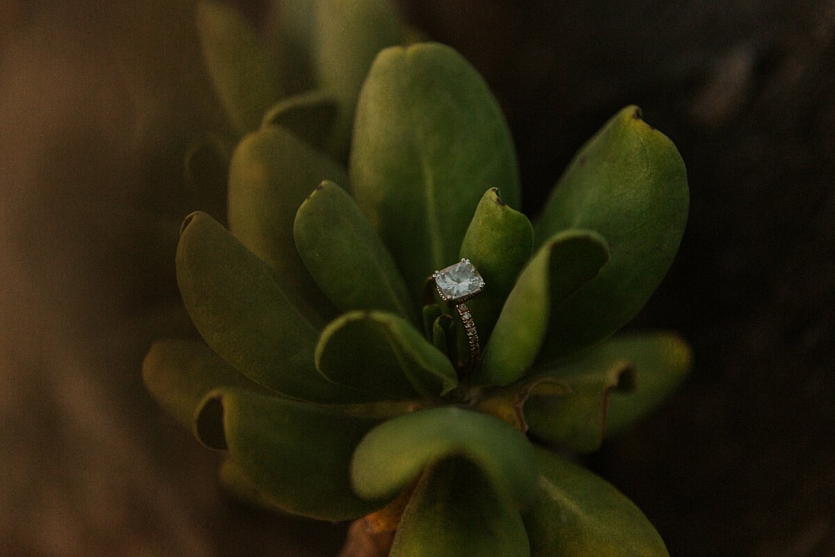 maui-engagement-photography-maui-engagement-photographer-maui-photographer-maui-photographers-maui-engagement-session-maui-engagement-photos-maui-wedding-photographer_0699.jpg