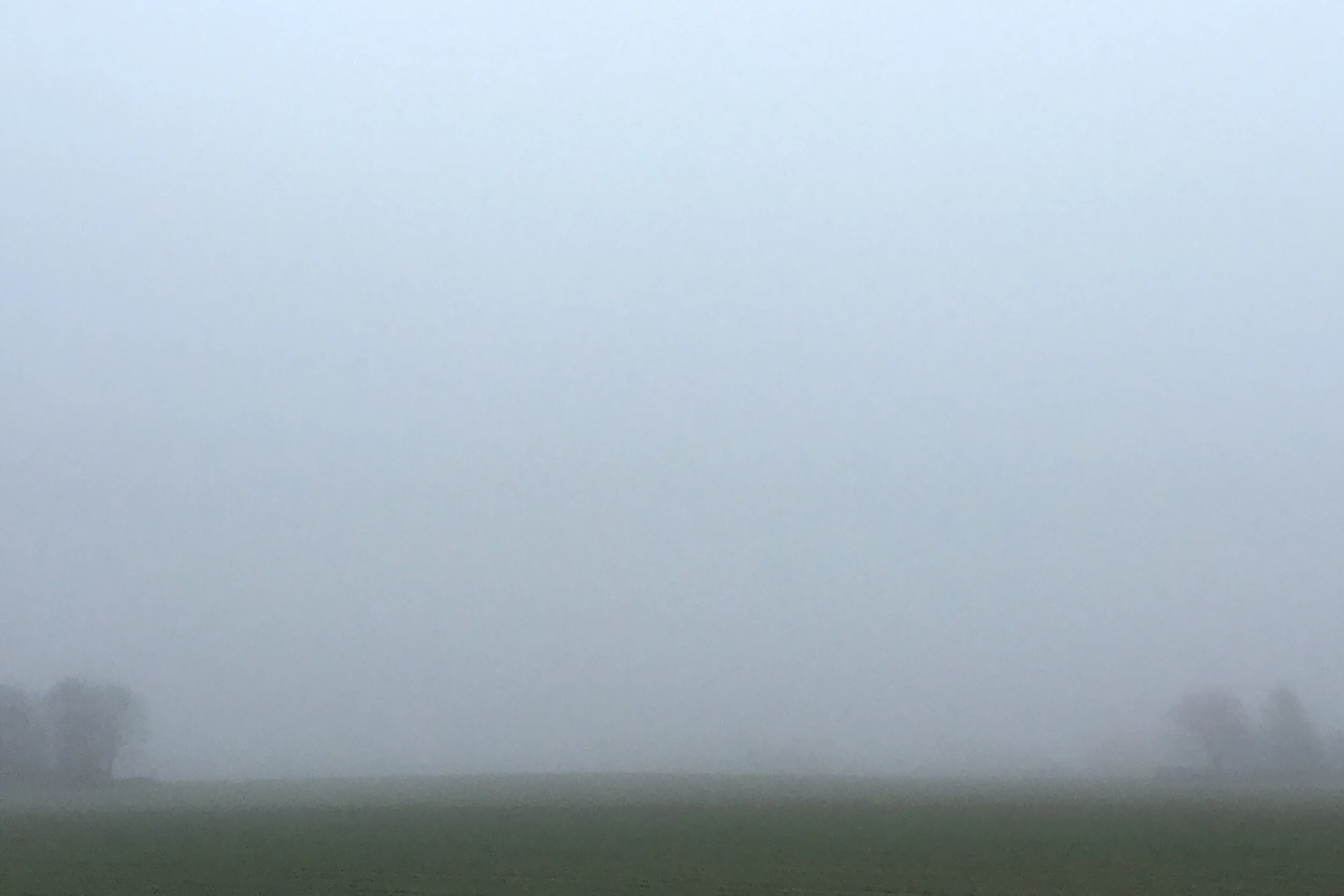 HOUSE FF-COVER IMAGE.jpg