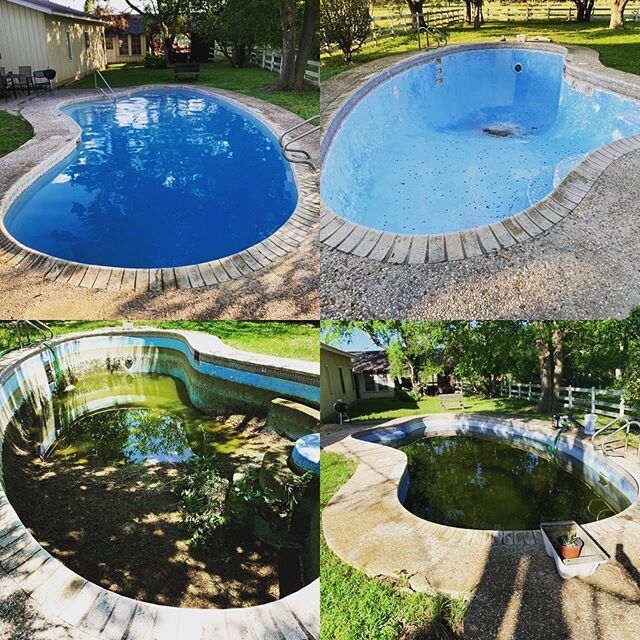 Hard to believe this is the same pool! From swamp green and full of frogs, to swim ready in only a couple weeks! We did a drain and clean only to discover that this old pool needed a new plaster finish. Brand new plaster, a new low-voltage LED color 