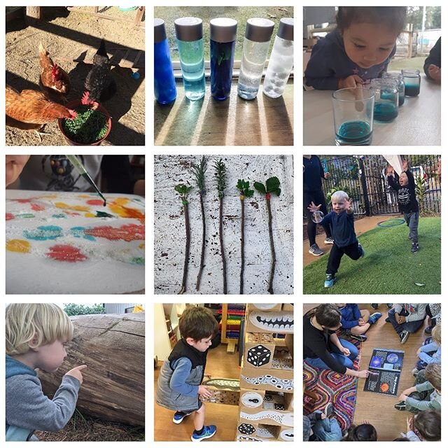 Another week of discovery! &hearts;️ #thevillage #creative #education #learning #senseofwonder #curiosity #discovery #ourworld #friendships #colearning #floorbookapproach #fun #happiness #unique #preschool #brookvale #northernbeaches