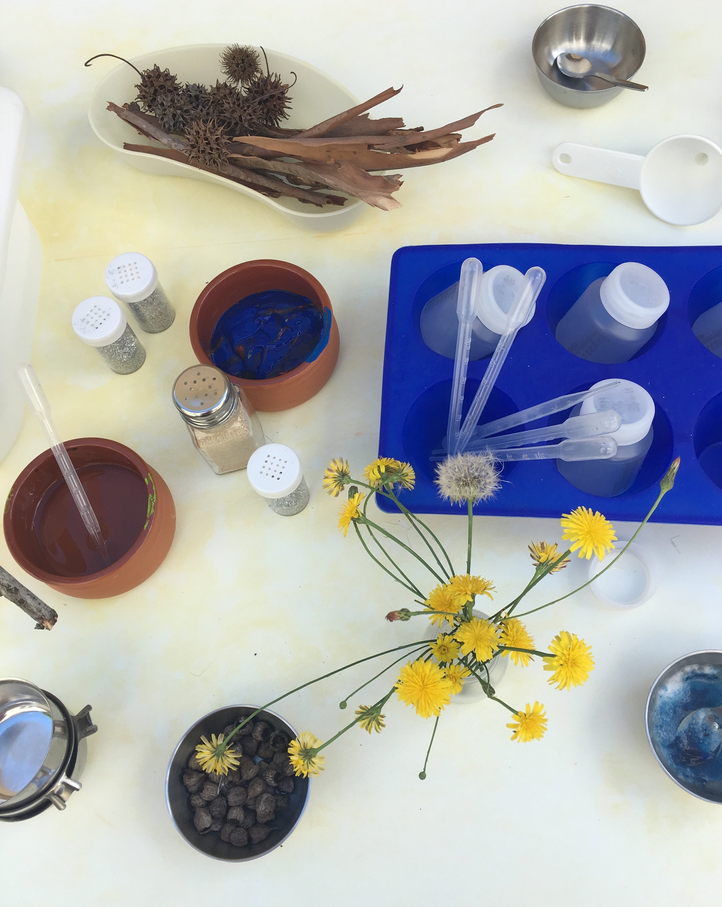 Nature experiences inspired by Janet Laurence