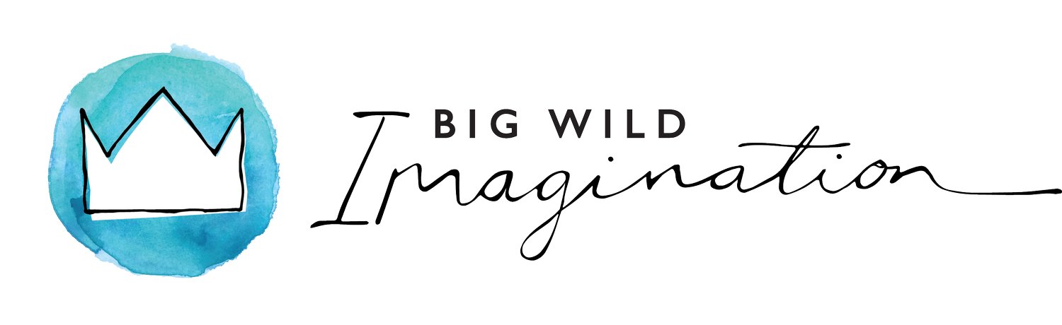 Big Wild Imagination