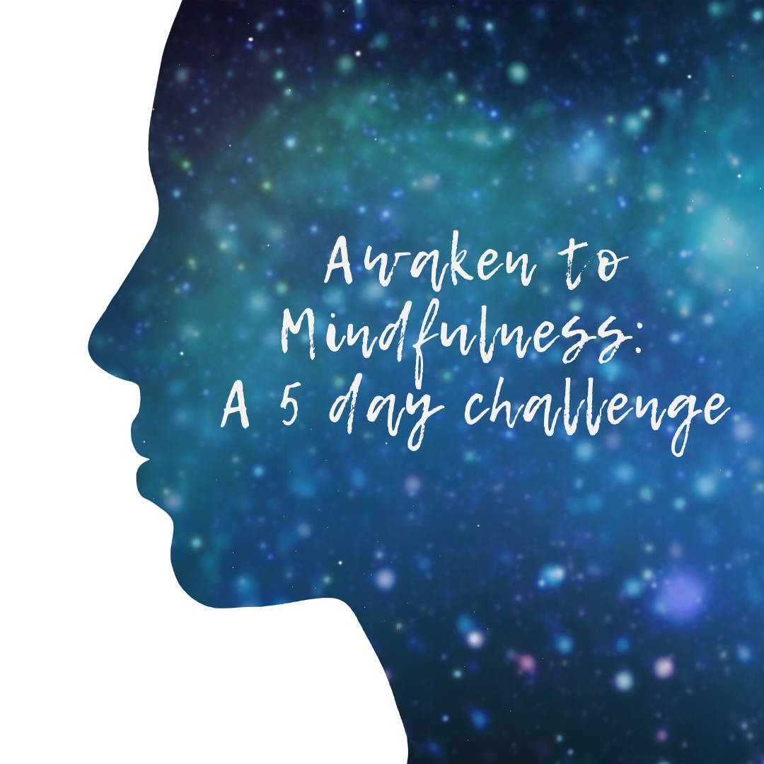 Awaken To Mindfulness: 5 Day Challenge To A New Future