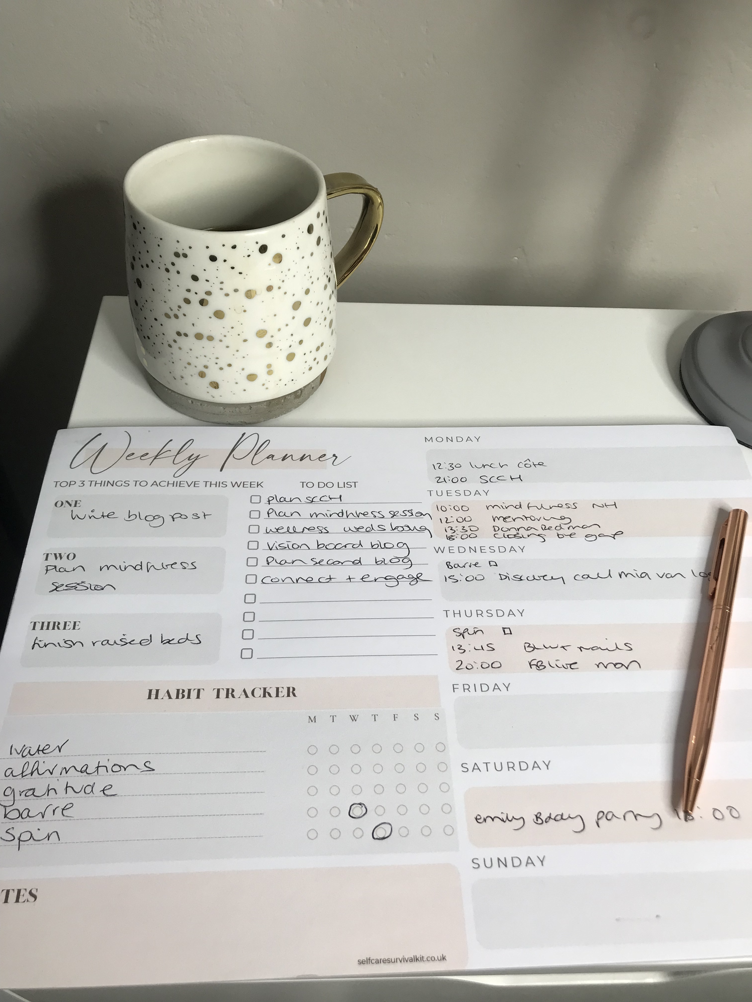 A4 Weekly Planner Pad Habit Tracker Schedule Agenda To Do List — Rachel ...