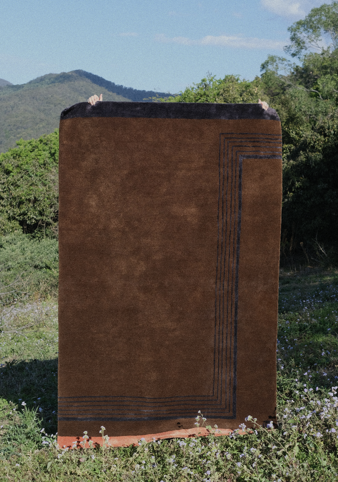 Grays’ Apartment Rug - Ru