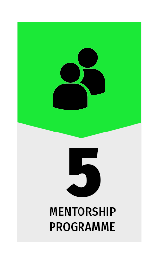 DFY-Website-Our-Impact-Sent-to-Maren-06--Mentors.png