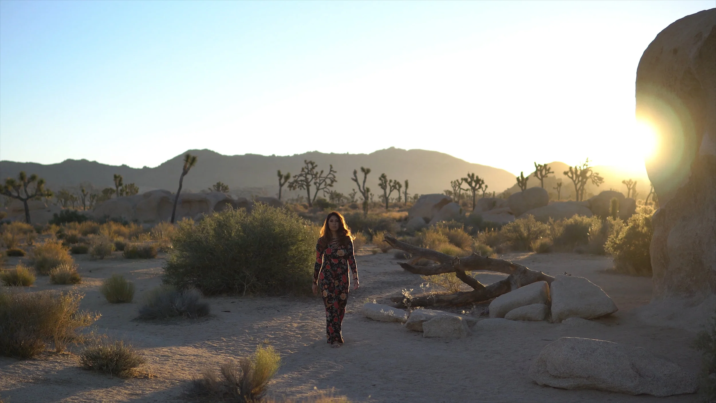 Rias Graduation Video.00_00_22_22.Still002.jpg