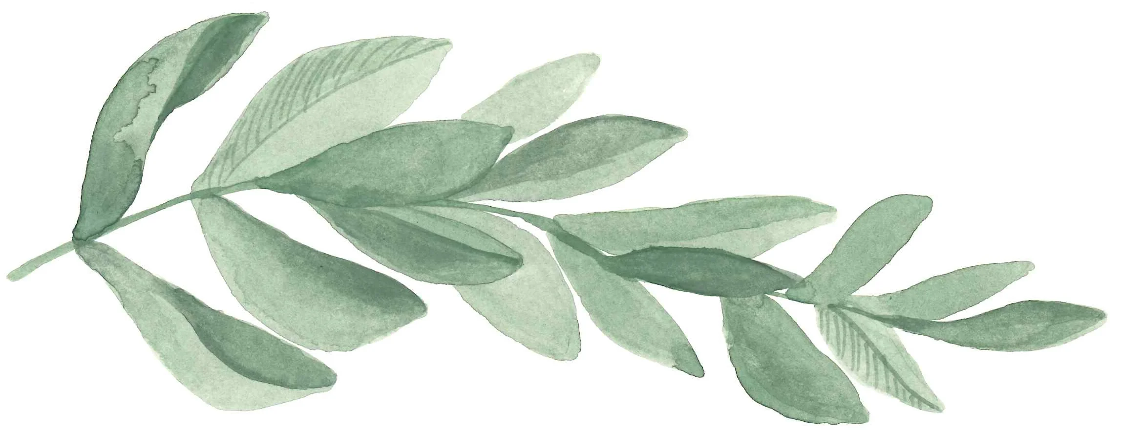 leaves.jpg