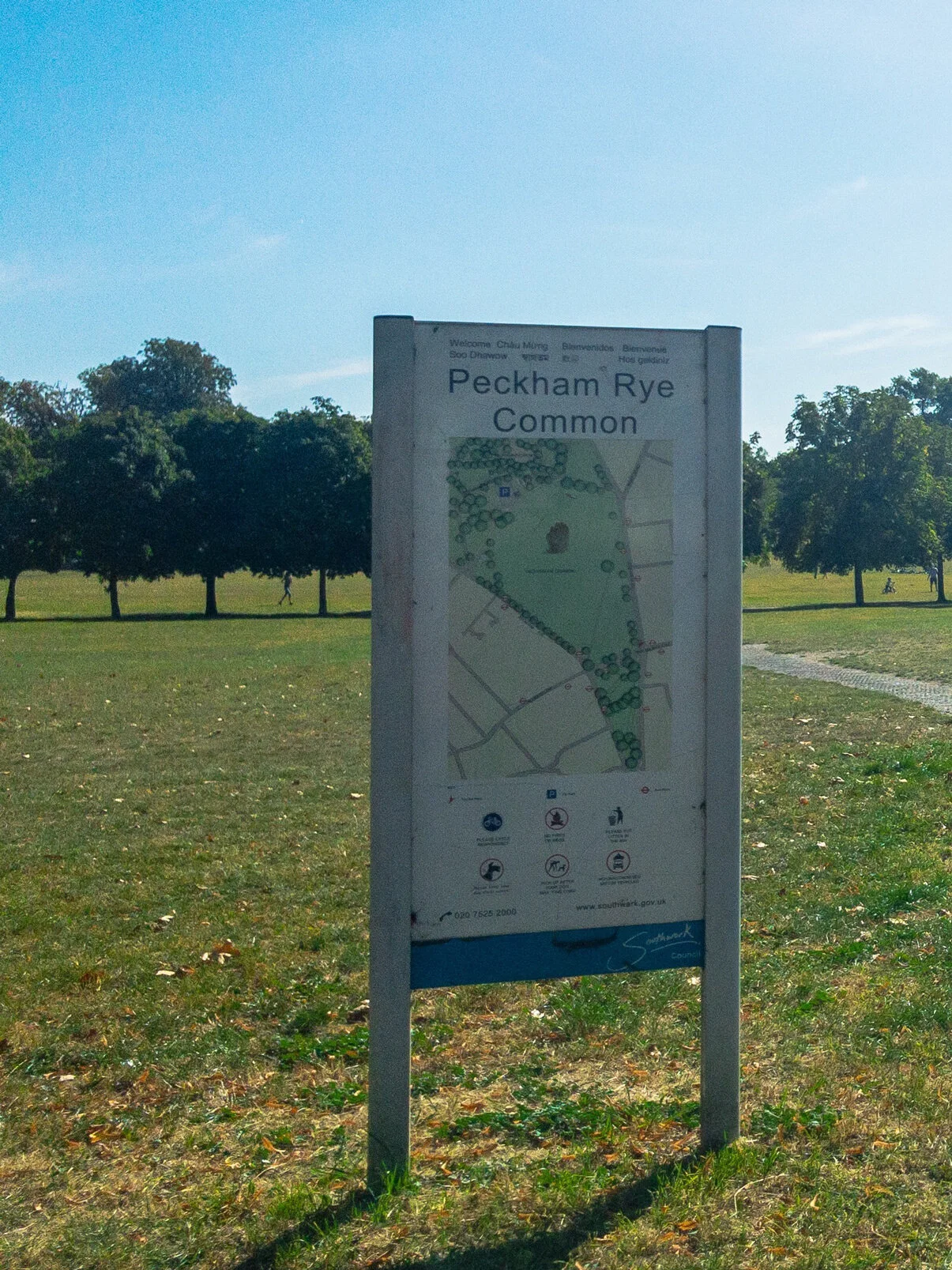 Peckham-Rye-Park.jpg