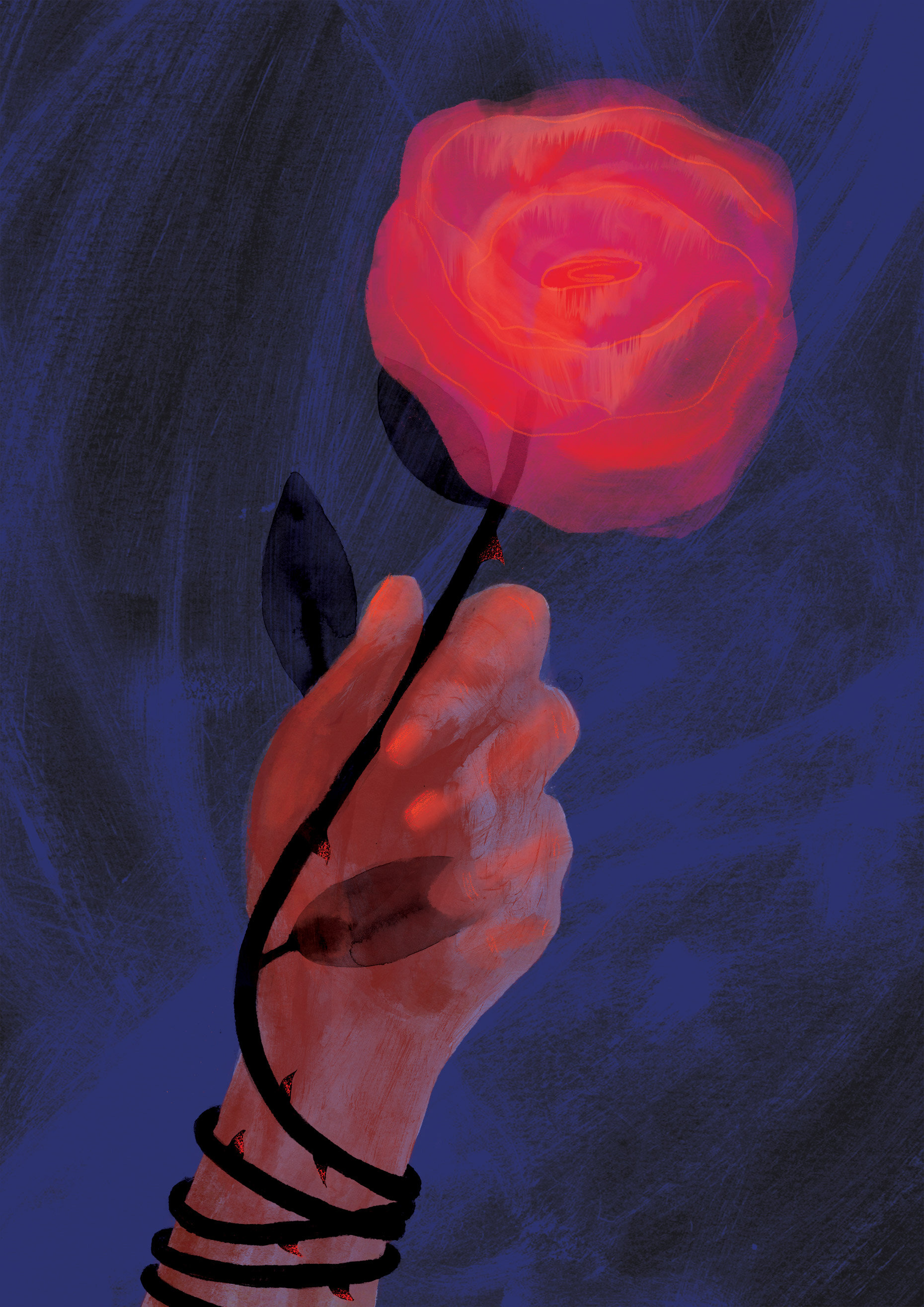 Desire: Stepping into Neatly Tended Borders