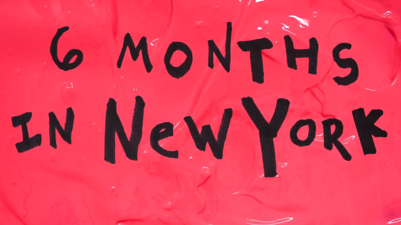 6mo.png