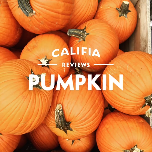 pumpkin_review.png