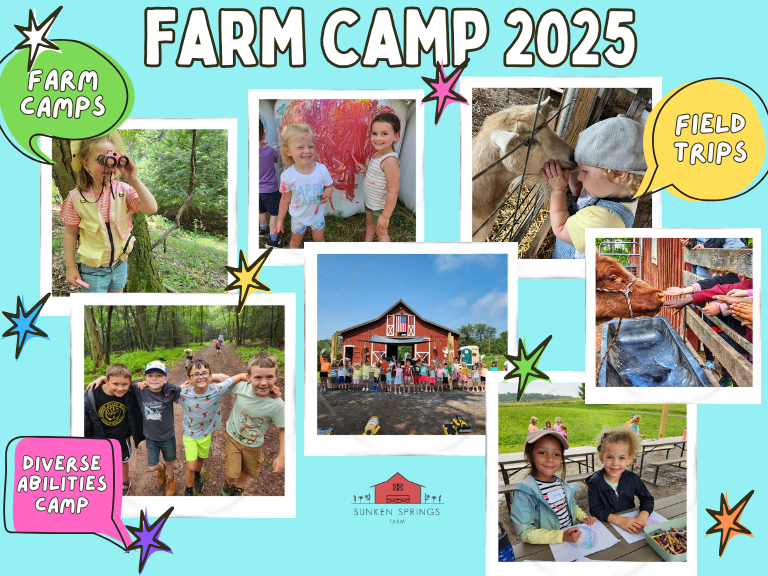 Sunken Springs Farm