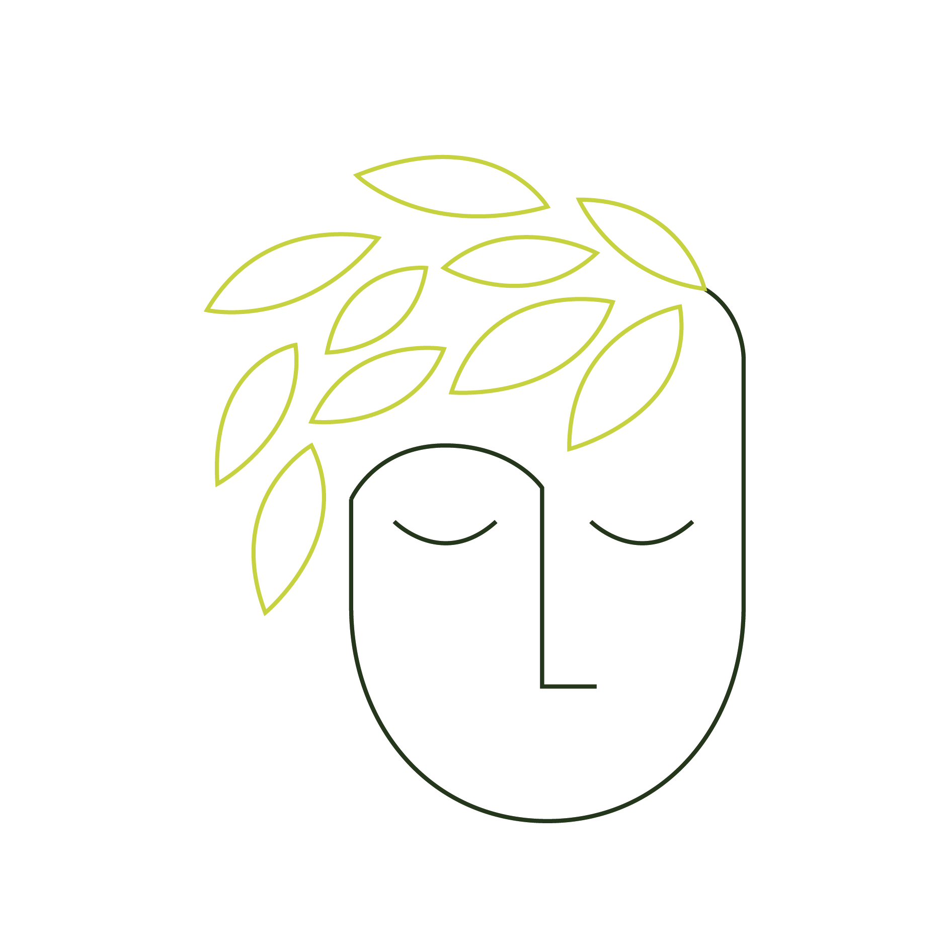 How_Envision.png