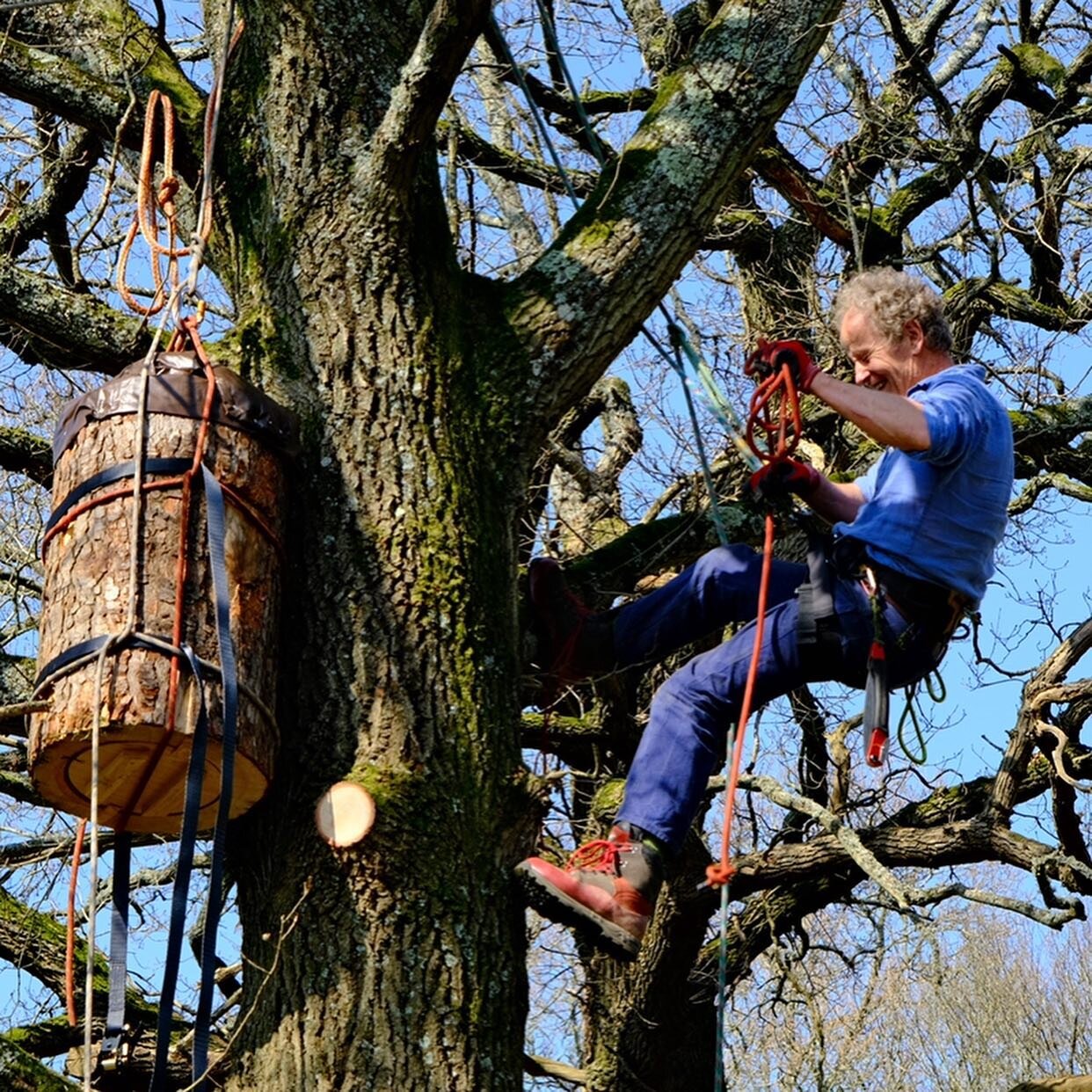 W I L D  B E E S 

Introducing our friend and trusted specialist Matt Somerville at Bee Kind Hives -

We our so pleased to be working closely with Matt to #rewild the honeybee 🐝 
Coming from a bee centric perspective and drawing from his specialist 