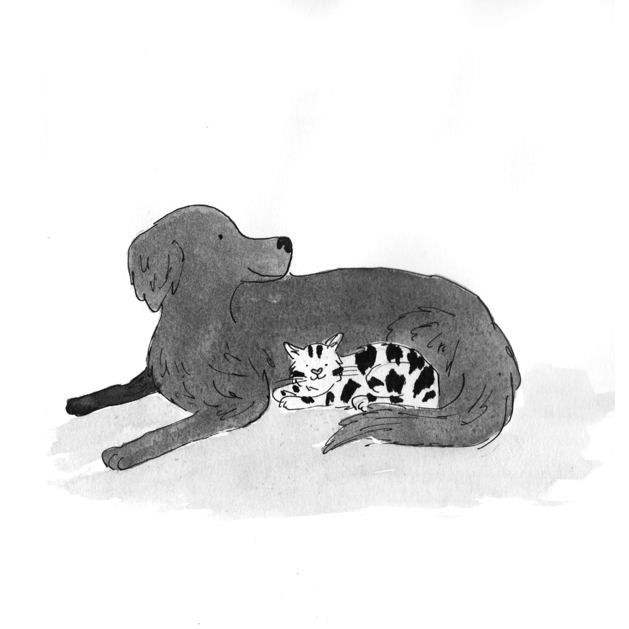 Ink09.png