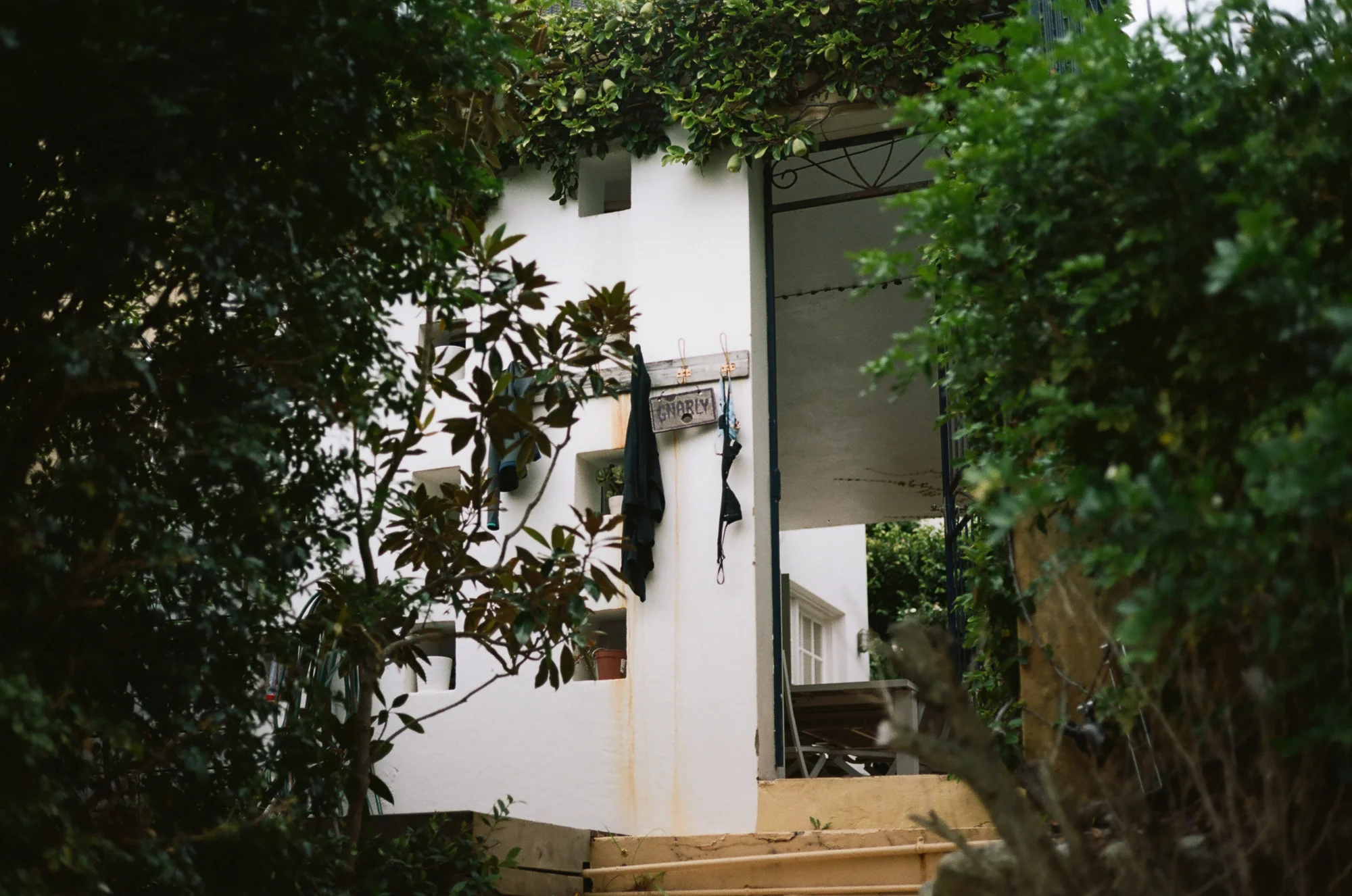 PJOHNSON TAMARAMA-1.jpg