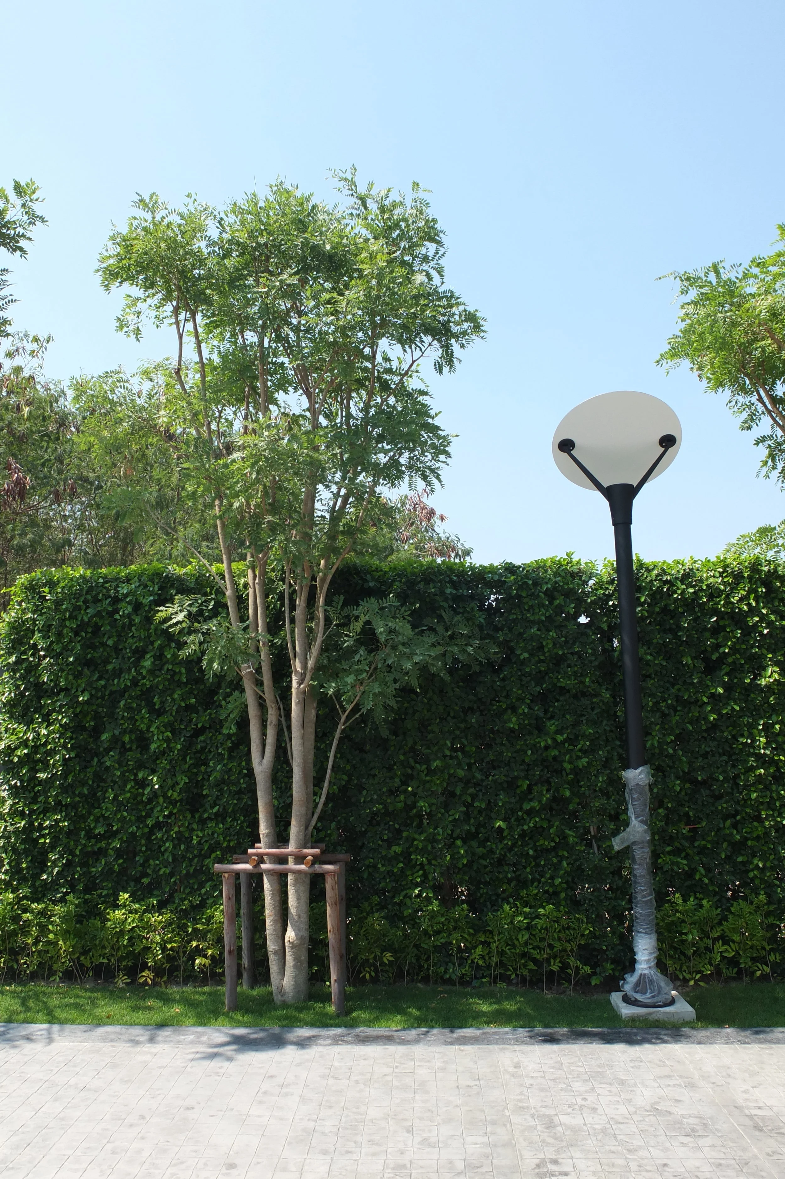 DSCF3961.JPG