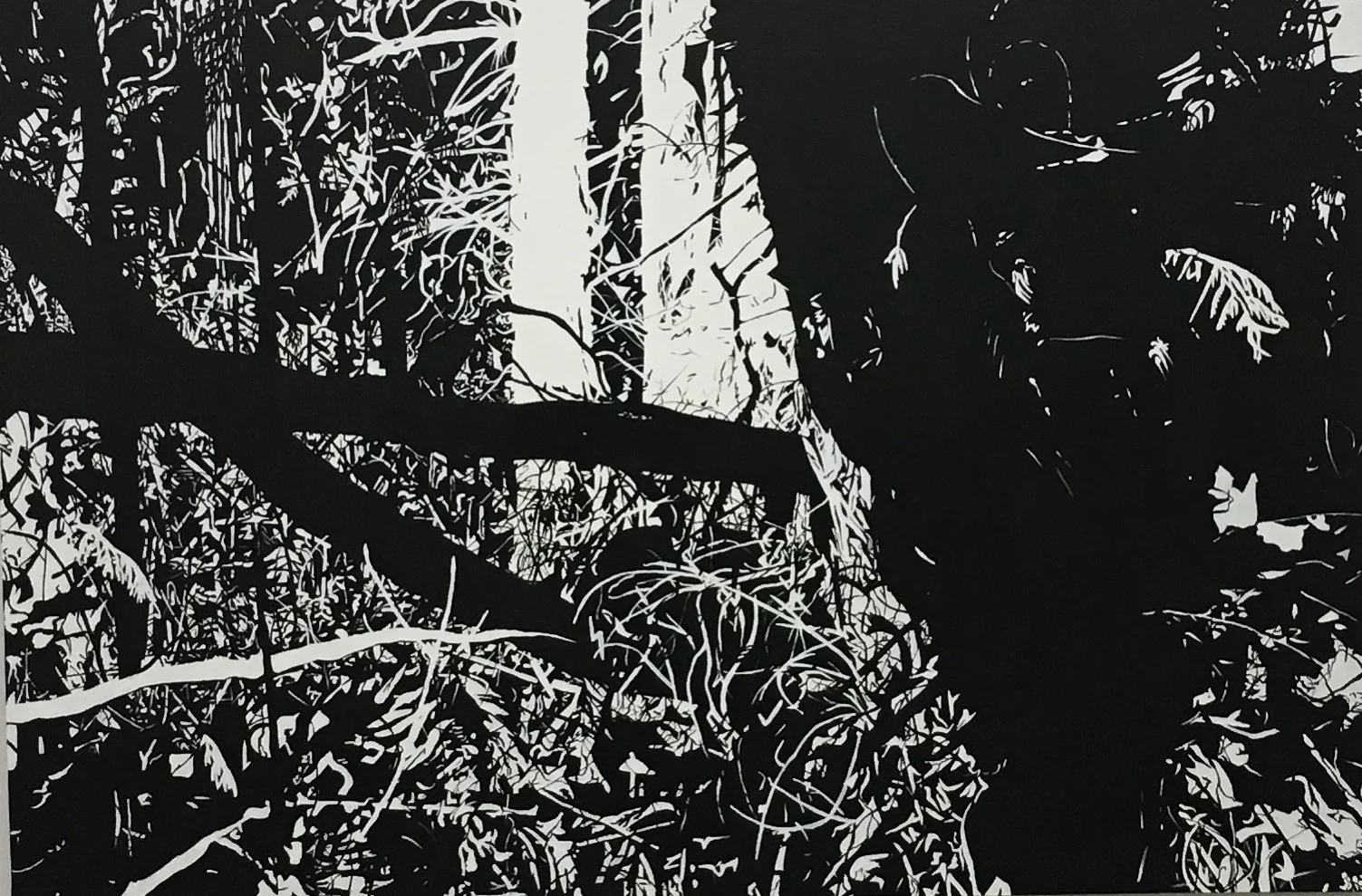 Tangle , 2019, acrylic on canvas, 4’x6’