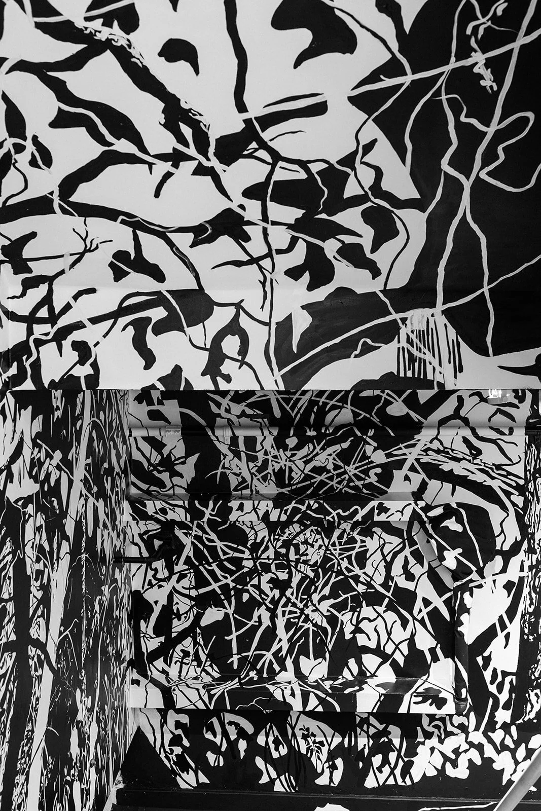 The Cold Fear Intsallation 3 .jpg