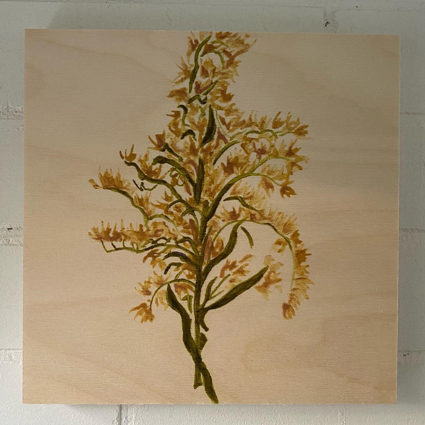 Some Goldenrod to bring you warmth today. 

Thanks to @neatcazzola for these beautiful natural pigments (swipe right) 

@neatcazzola has a beautiful installation happening this weekend at YGH, go check it out!!