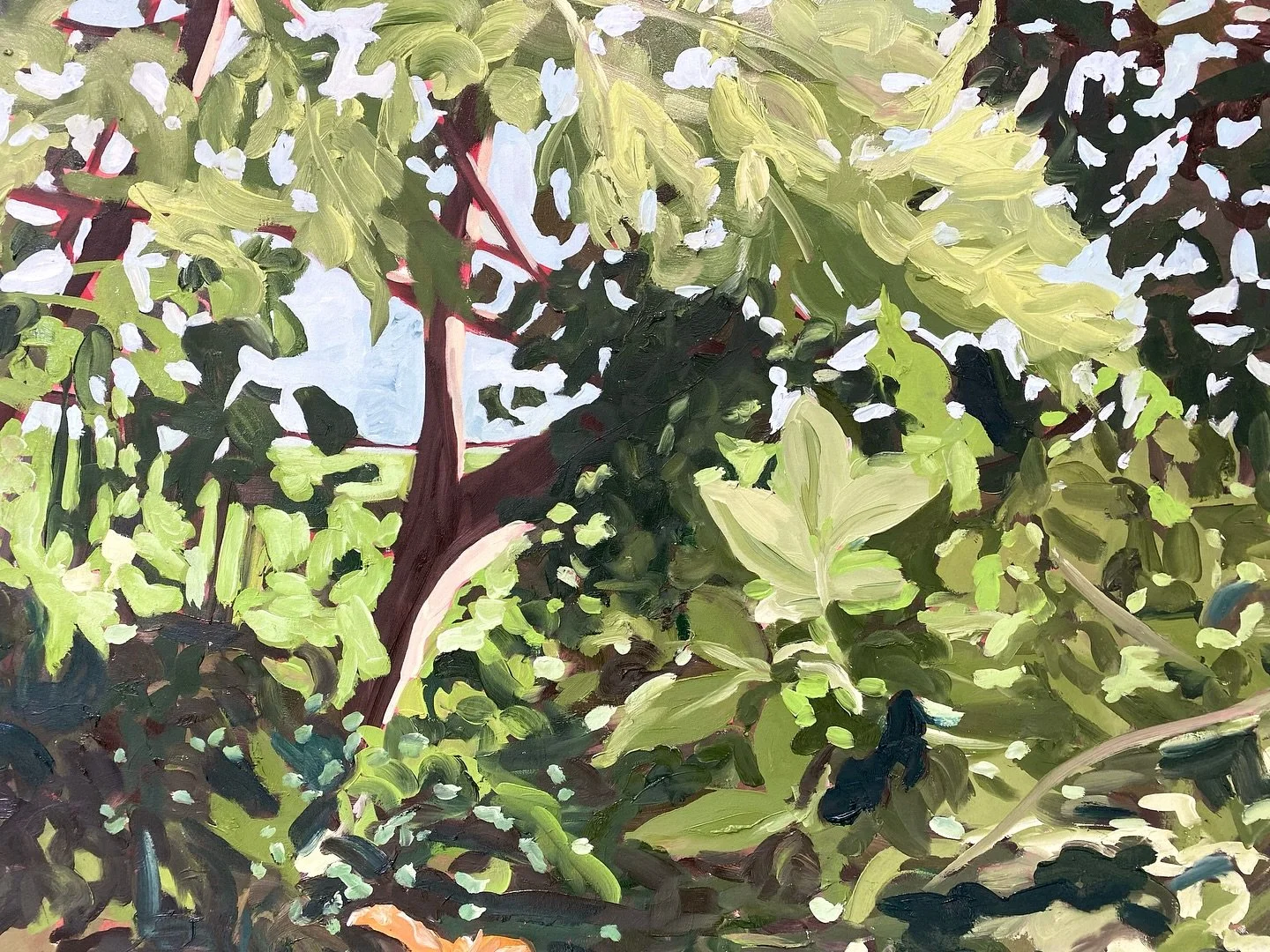 Some details from my paintings up at @necessaryarts 🍃

&lsquo;Edge&rsquo; is on view at N/A Gallery from November 5-December 2, view the show online (link in bio) or in person! 
.
.
.
.
.
#partsofpaintings #oilpainting #landscapepaintingnow #GuelphA