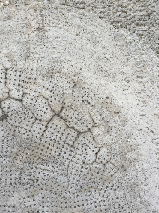 Cement texture.png