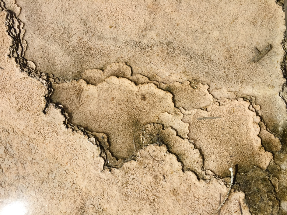 Yellowstone.png