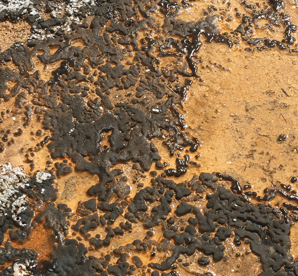 Mud.gif
