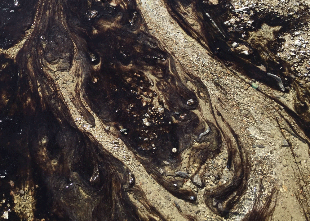 IMG_6164-2.gif