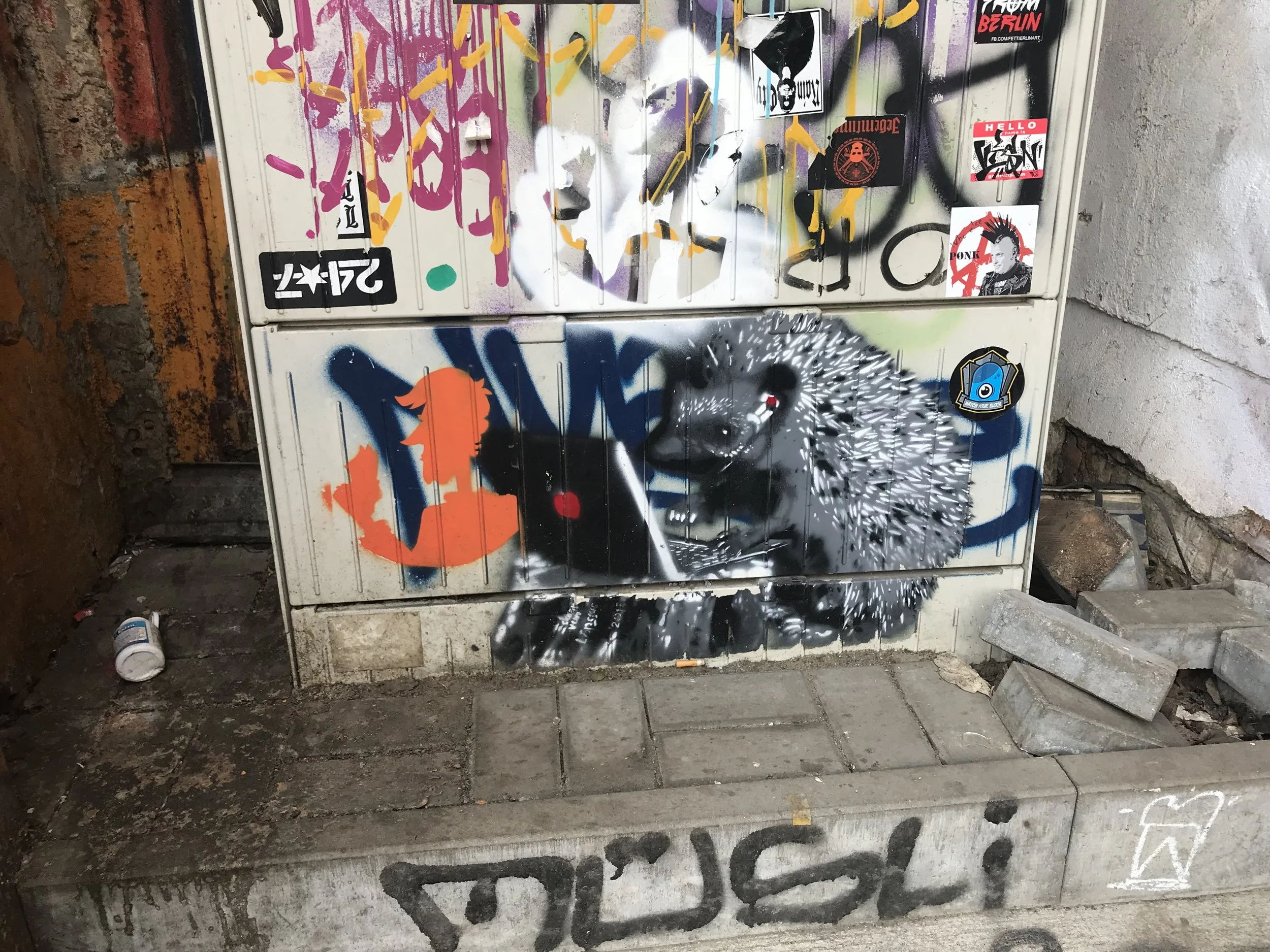 IMG_6698.jpg