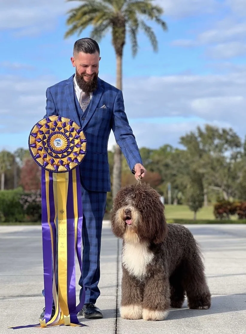 Find a Barbet Breeder — Barbet Club of America - Official Site