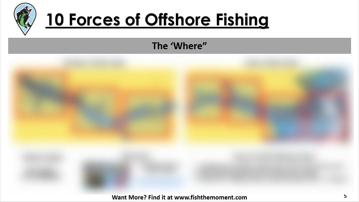 Offshore Fishing Playbook Blurred Page 3.JPG