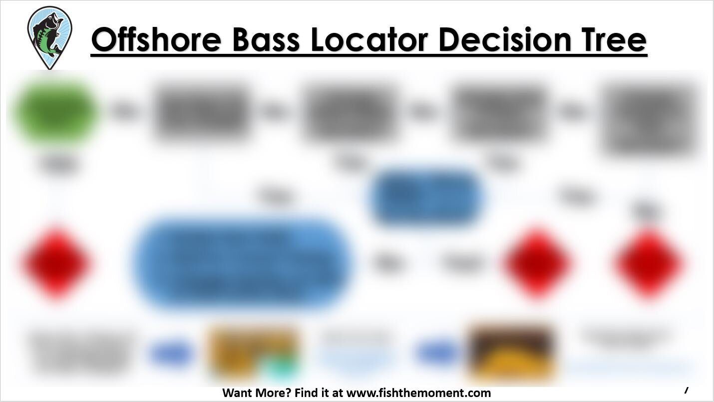 Offshore Fishing Playbook Blurred Page 5.JPG
