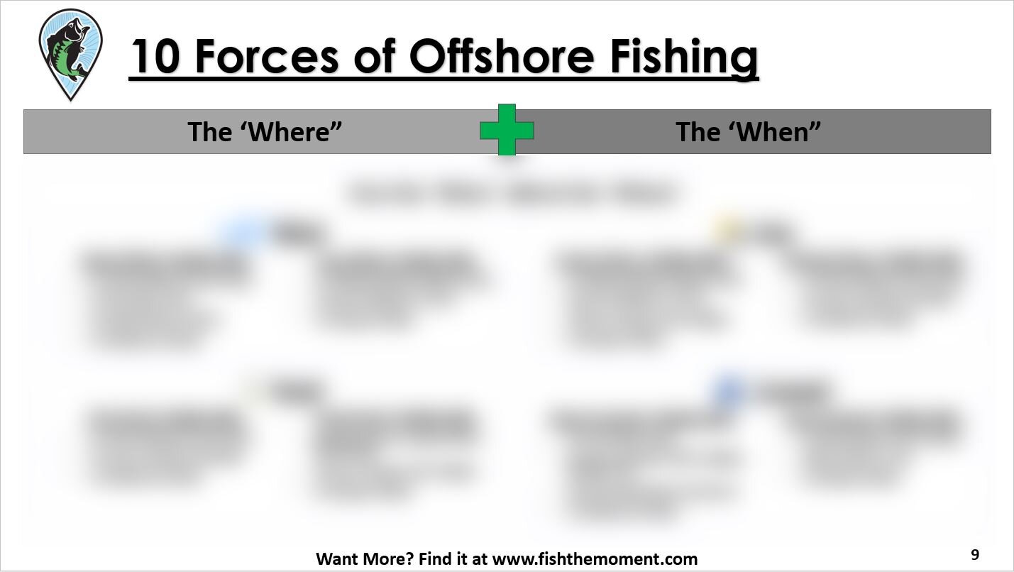 Offshore Fishing Playbook Blurred Page 7.JPG