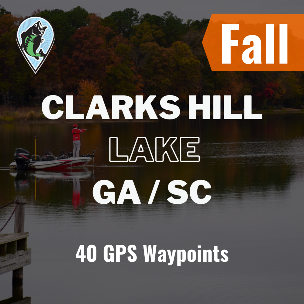 Clarks Hill Lake, GA / - Fall Fish the