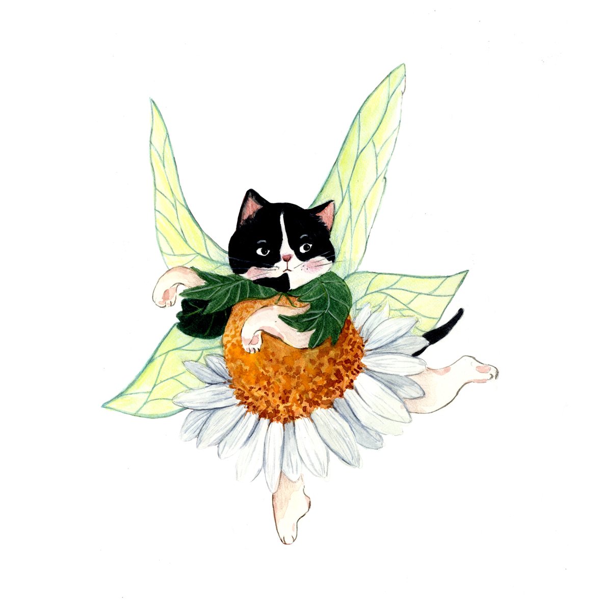 The Cat Flower Fairy Alphabet (2024)