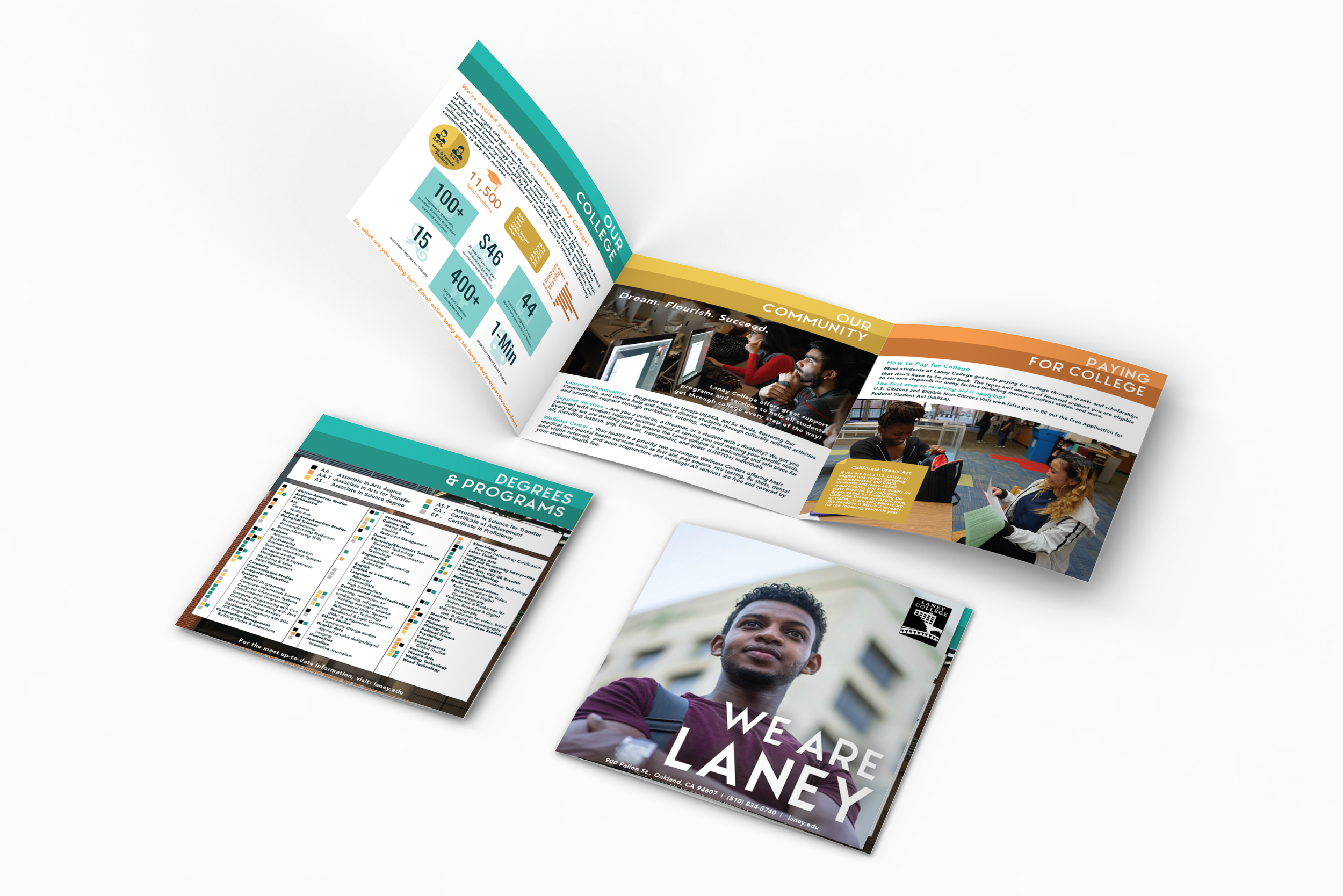 College Brochure | Updated Branding + Trifold