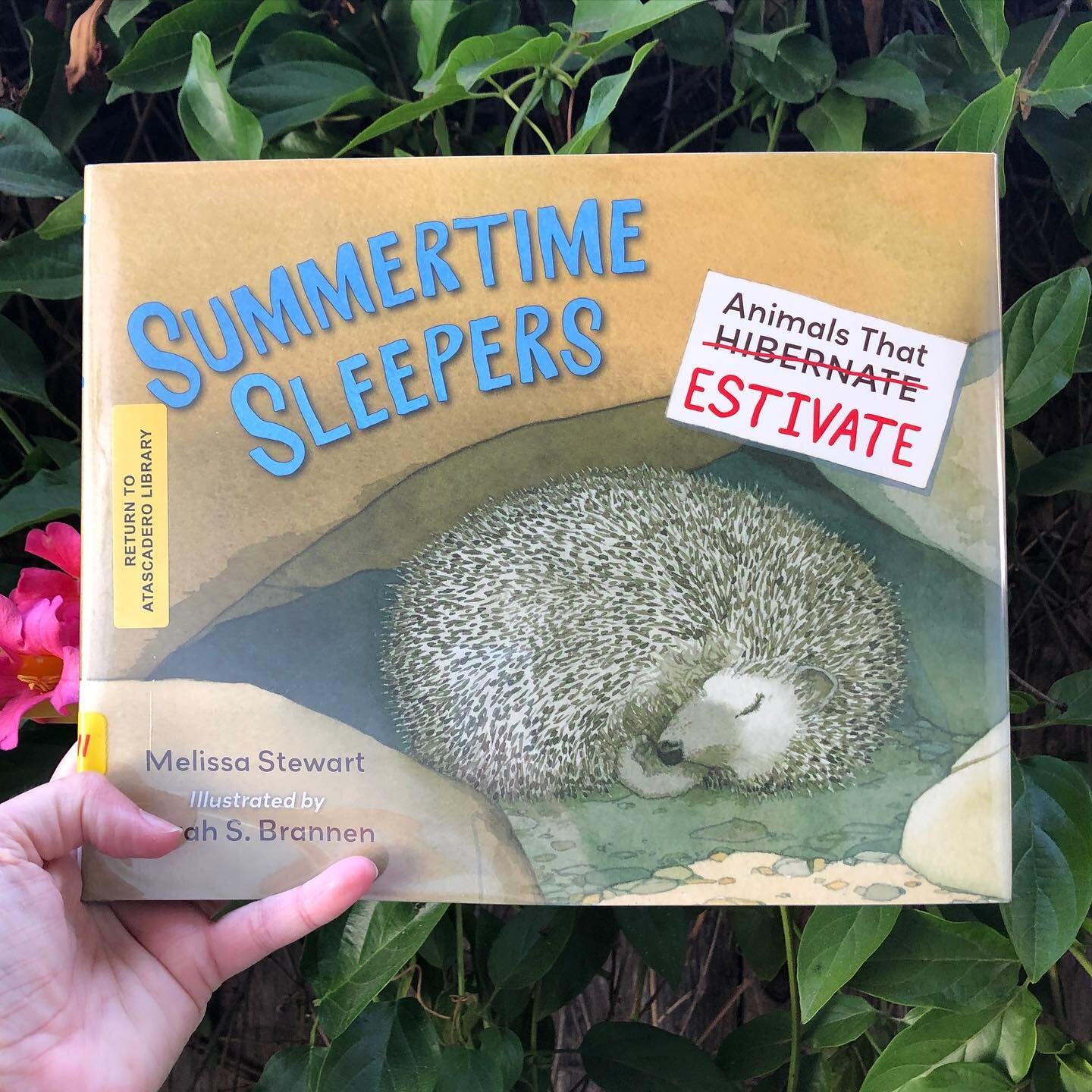 Like much of the western United States, my area has been blistering hot this week. 

We have been huddled in the dark during the sunniest part of the day and resting as much as possible. 

It&rsquo;s been the perfect time to read about creatures who 