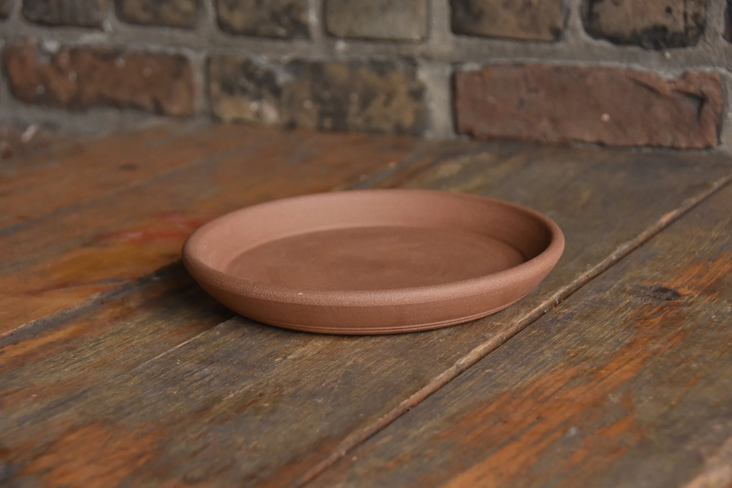 10" Tray