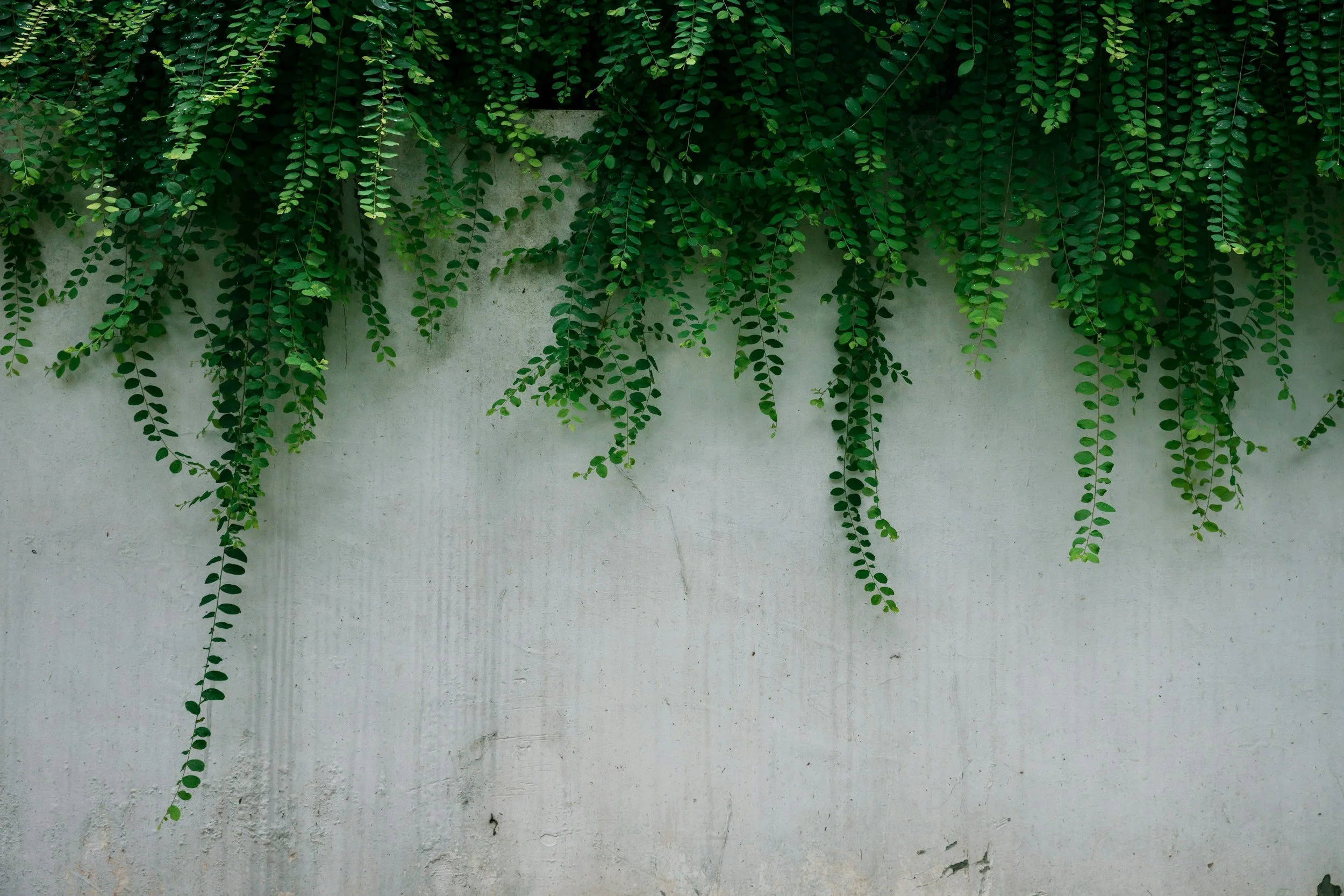 unsplash-image-PQrAzKxxZbc.jpg
