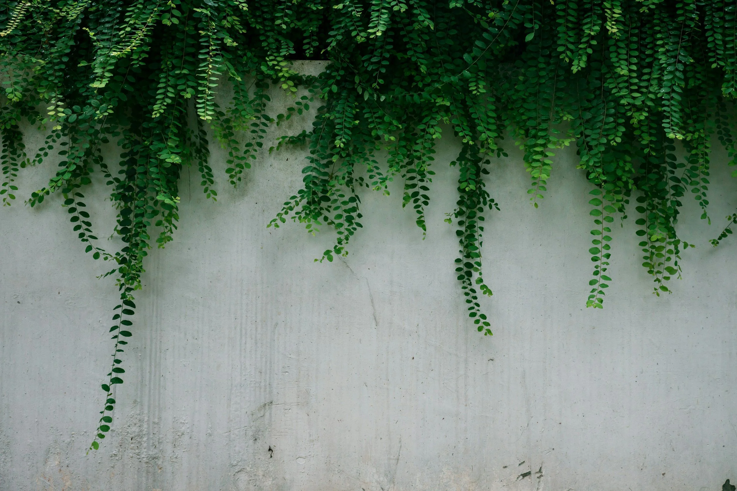 unsplash-image-PQrAzKxxZbc.jpg
