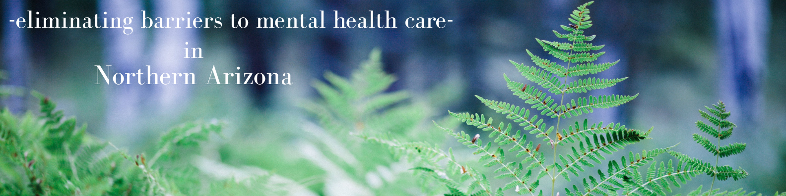 Eliminating barriers to metal health care (4).png