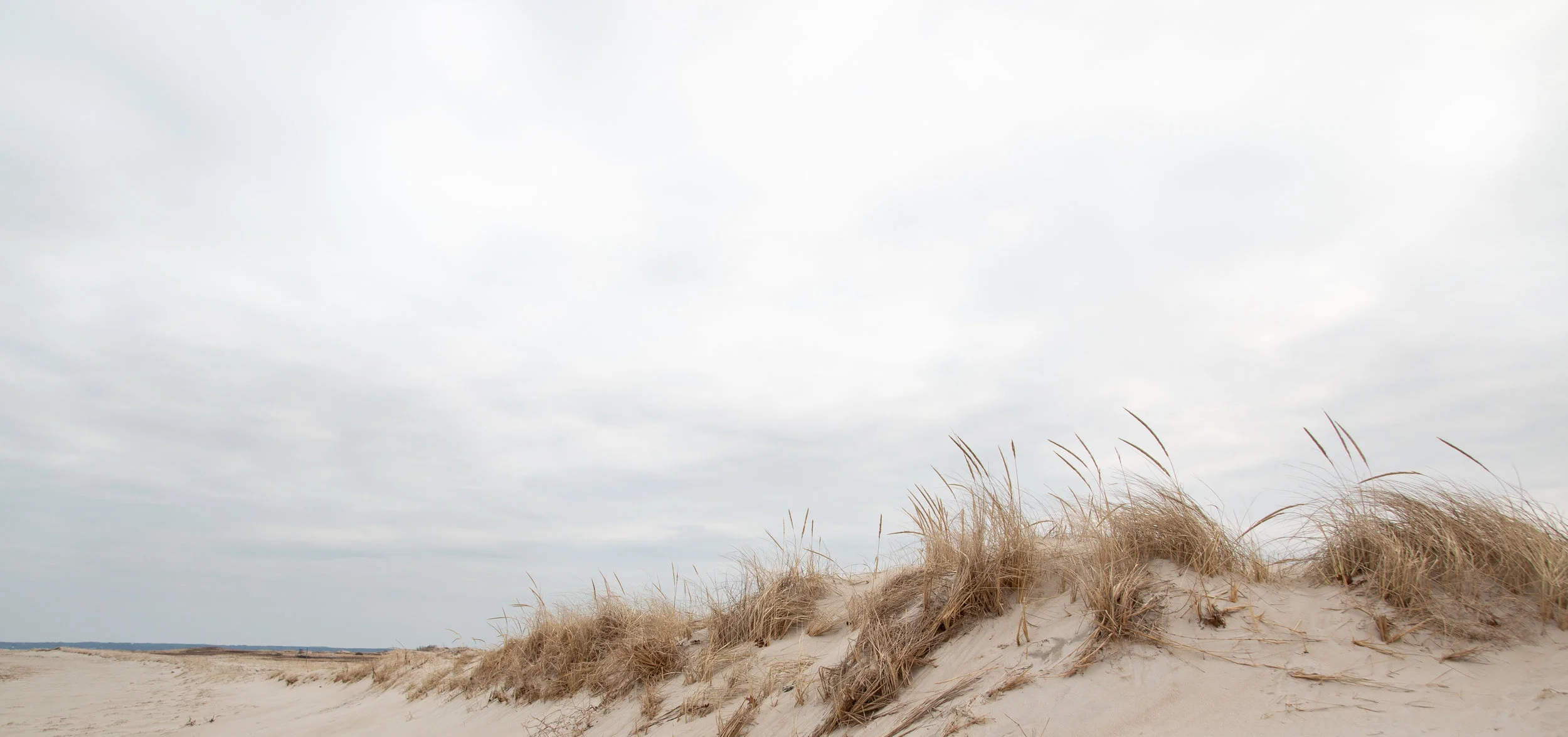 cranes dunes-6688.jpg