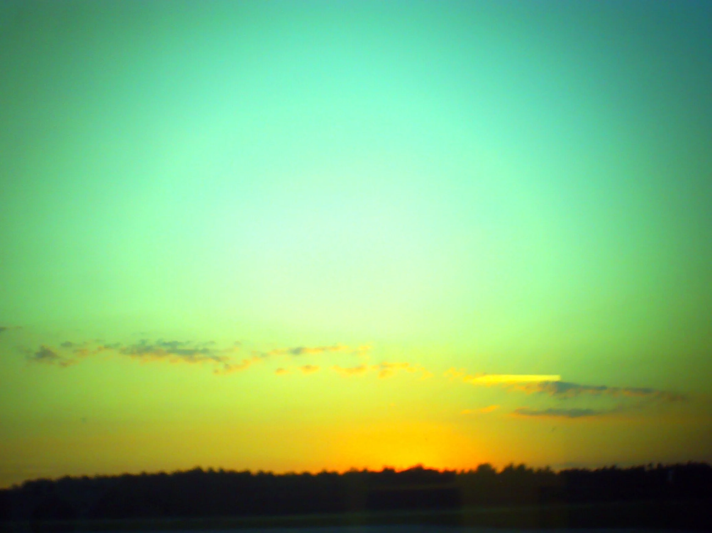 PICT0833.JPG