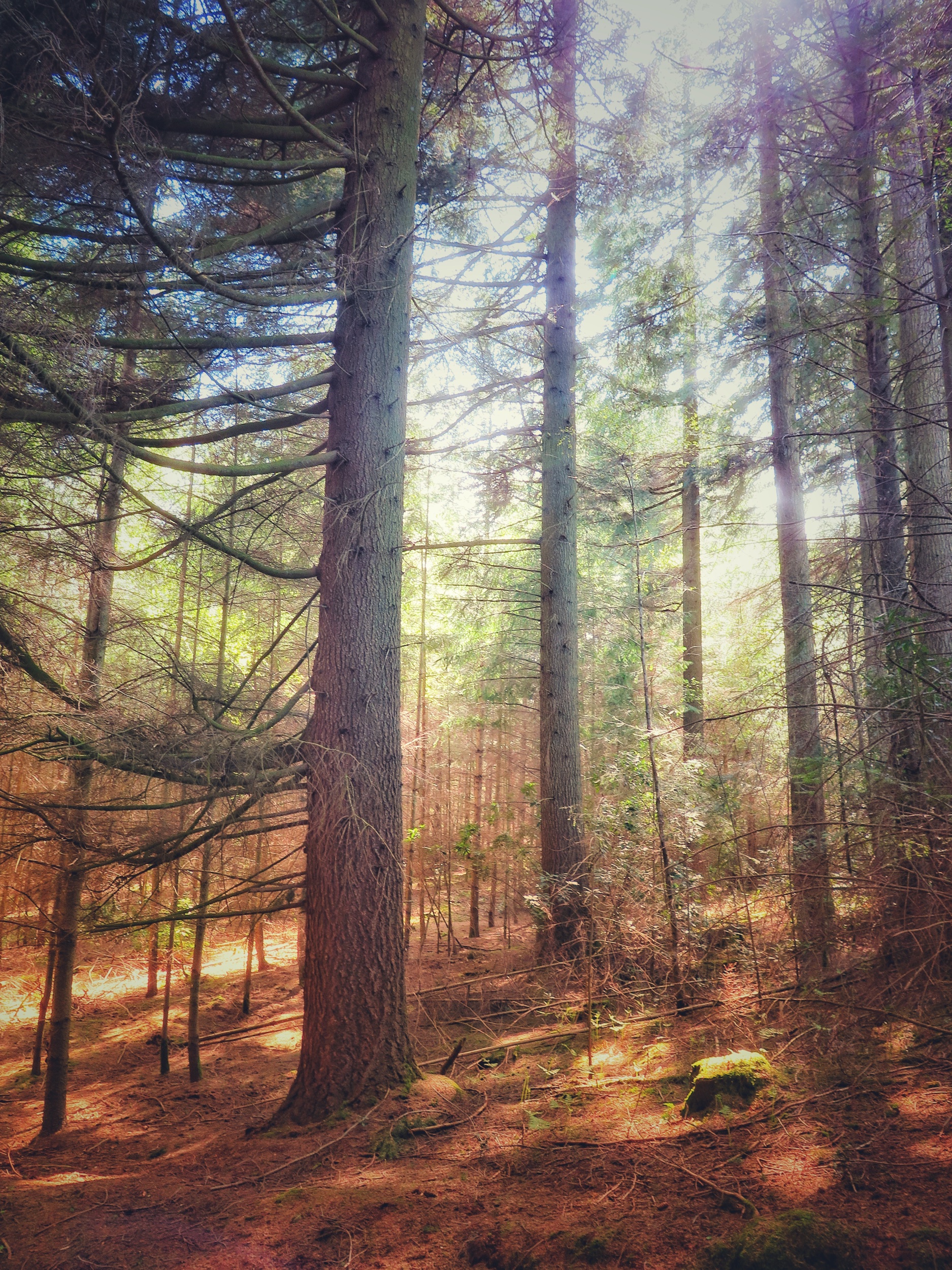 27003216_Unknown.jpeg