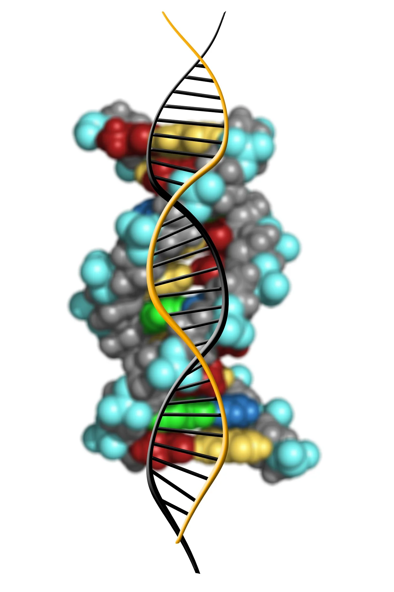 genome media now