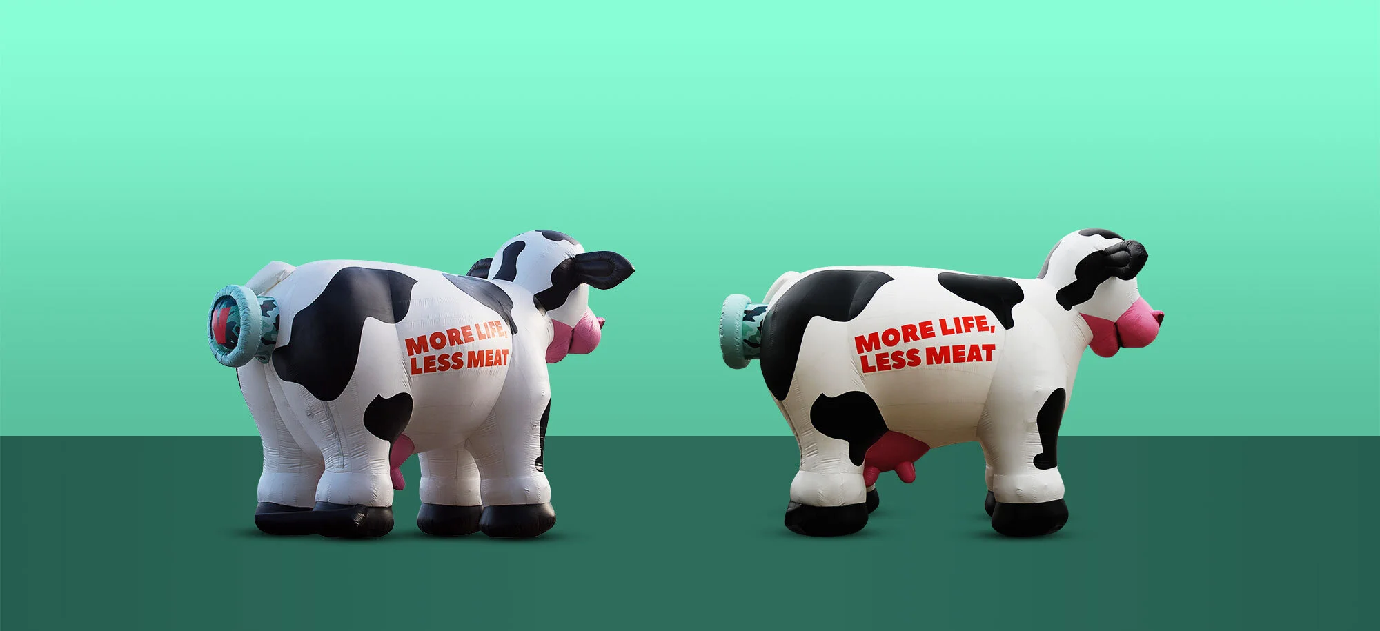 2-cows.jpg